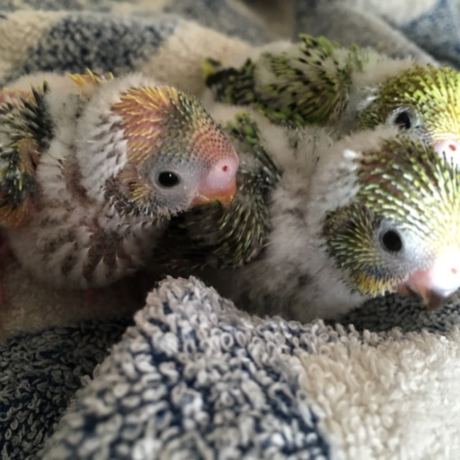 うーさんうーさんのカバー写真