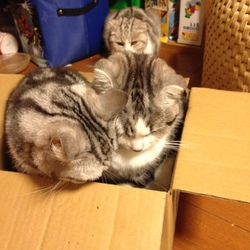 「仲良し親子(^^)」サムネイル1