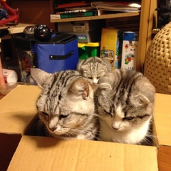 「仲良し親子(^^)」サムネイル2