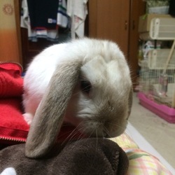 我が家2日目