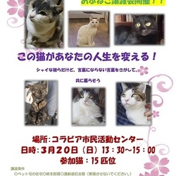 春だから、卒業したいYO！おぶねこ譲渡会開催だYO！！