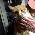 5ヶ月♪留守番可♪おっとり癒し系のブサカワちゃん♪