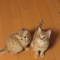 モカ&ラテ