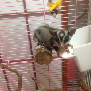 応募者多数のため、一時終了させていただきます。