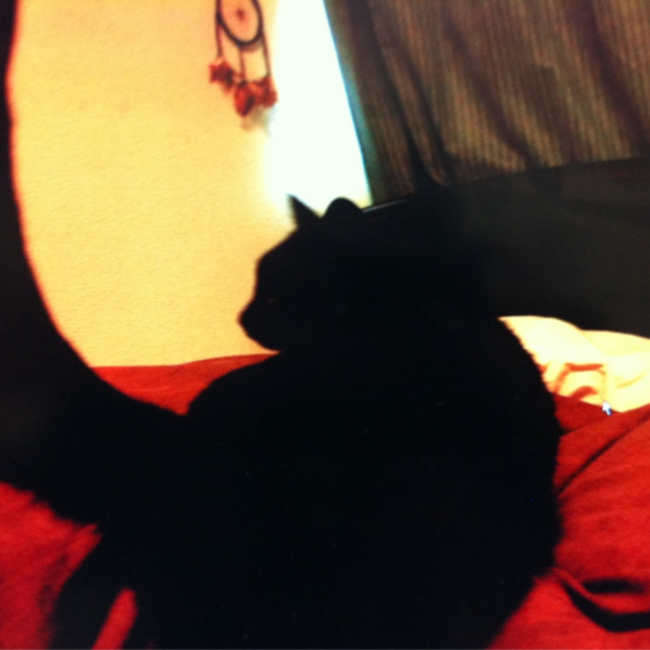 スミヲのカバー写真