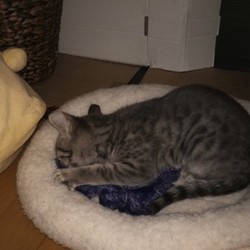 「出たいみたいです。」サムネイル2