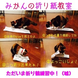 みかんの折り紙教室
