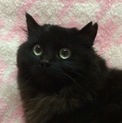 くるりちゃん【必ず募集詳細情報をご確認ください】