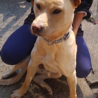 ハンディがあっても元気いっぱい！マキバオー君♬