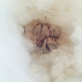 ありがとうございました(*^^*)