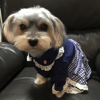 シェリ