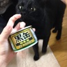 聖羅、