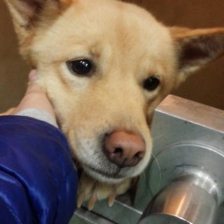 愛嬌抜群、人が大好きな女の子♡