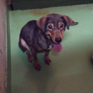 元気いっぱいハッスルな女の子♡