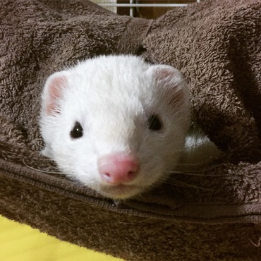 ハンモックからひょっこり！