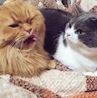 の写真