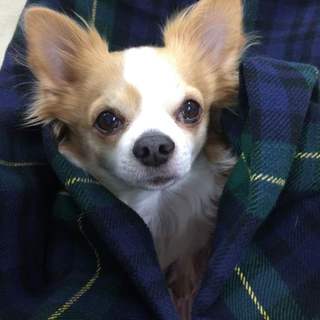 応募ありがとうございました！！