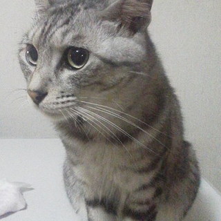 すっごい甘えん坊のチビくん