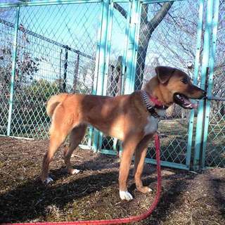 怖がりのあきちゃん期限切れ間近です。