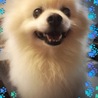みわとも