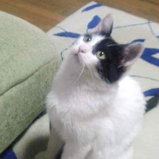 代理掲載・ソラちゃん