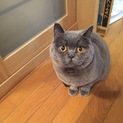 多数のお問い合わせ、誠にありがとうございました。
