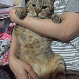 かなりの甘えん坊【ラックくん☆】