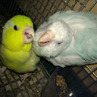 心あたたかいご応募ありがとうございました！