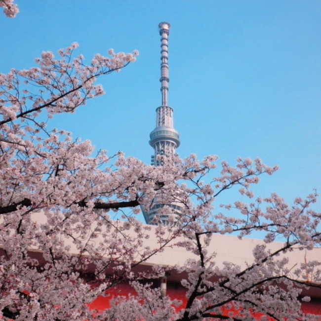 かずIQのカバー写真