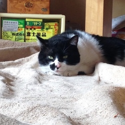 はっちさんも慣れてきました(^^)