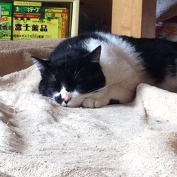 「はっちさんも慣れてきました(^^)」サムネイル2