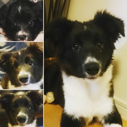 「末っ子 5ヶ月」サムネイル1