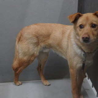 時間がありません(T_T)