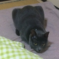 最近のくぅちゃん₍₍ ◝(●˙꒳˙●)◜ ₎₎
