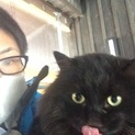 お問い合わせありがとうございました‼︎