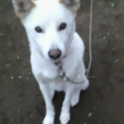 悲しいけど・・・