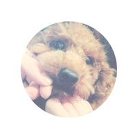 おこげ