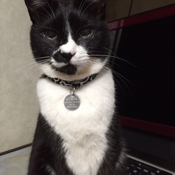 報告そして、さようなら！