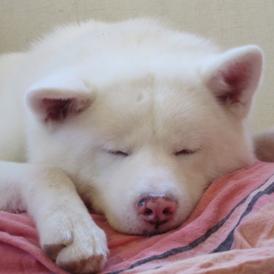 天のカバー写真