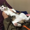 の写真