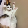 ずでーん