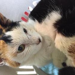 カテーテルを外しました