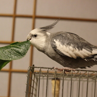 まる