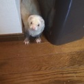 交渉中です。