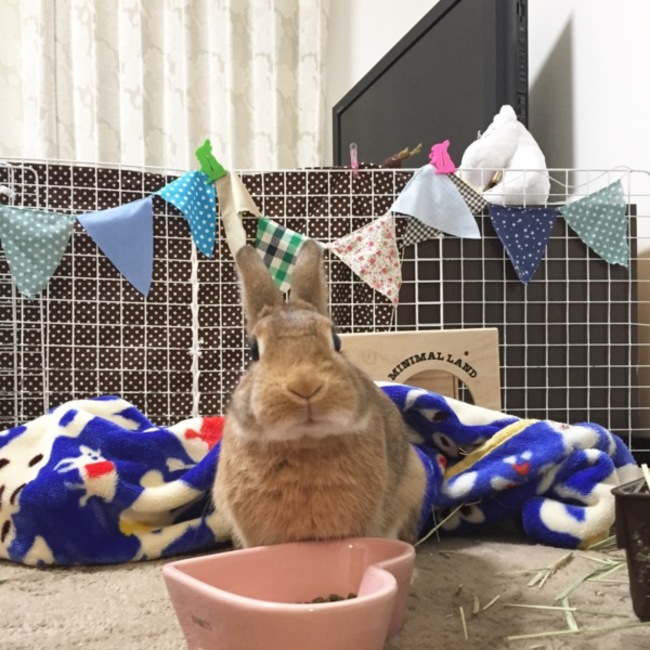 まっきぃ816のカバー写真