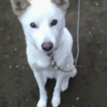 2016/3/14 虹の橋を渡ったcasperです