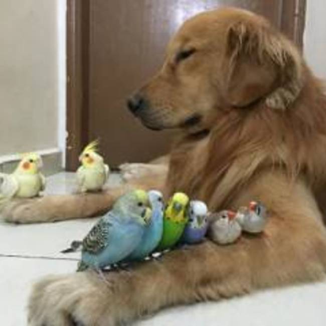 ちゅーちゃん⍤⃝♡のカバー写真
