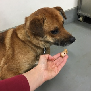 困り顔がハートをギュッ、しょうくん！