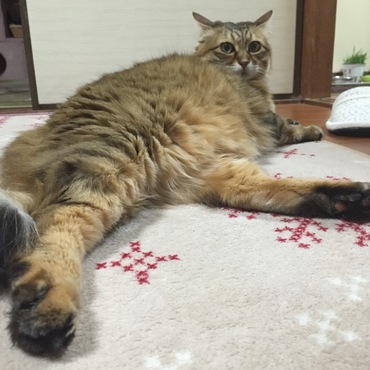 ちびっ子がいなくなってやれやれ？（笑）