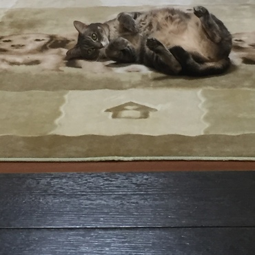 はぁ〜やっと私の天下だわってか？（笑）